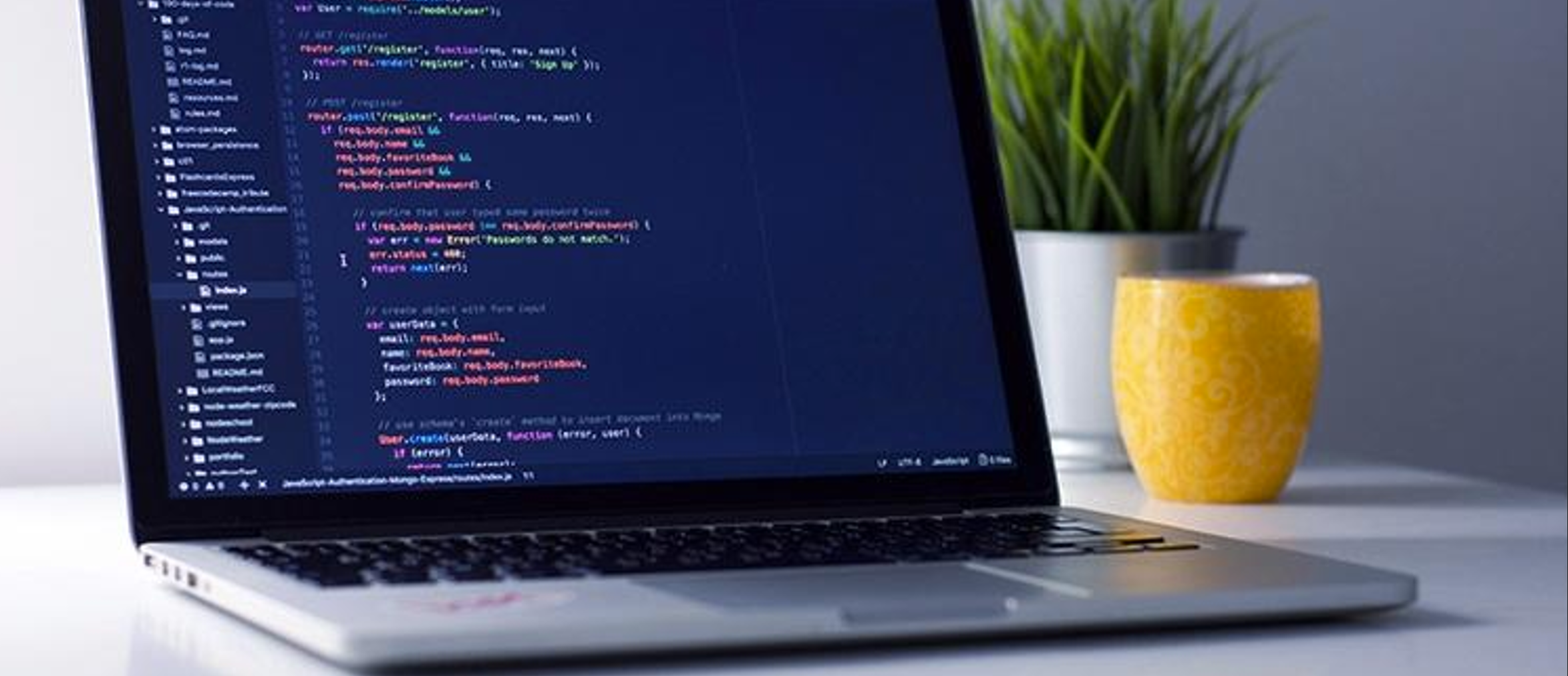Software development — professional software development environment